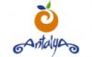 IDEAL opening a branch office in Antalya
