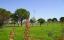 Belek Golf Apartments - 