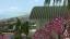 Sunset Beach Residence