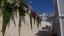 Oasis Club - 