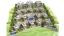 Oasis Club - 