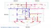 ATILIM II RESIDENCE - Penthouses Upper Floor Plan